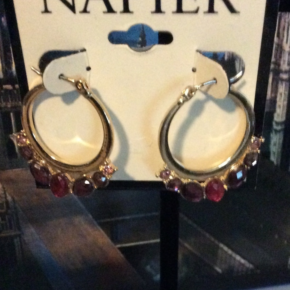 Ladies Hoop Earrings